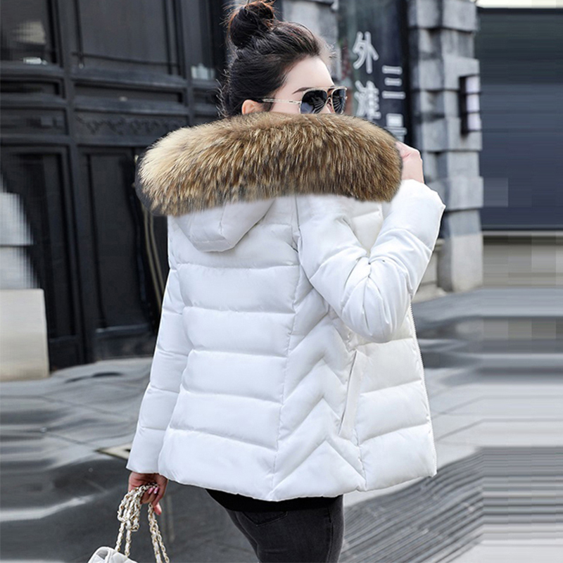 Herfstjas Damesjas met capucho - Winter Clothing Trends 2026 recensie en prijs