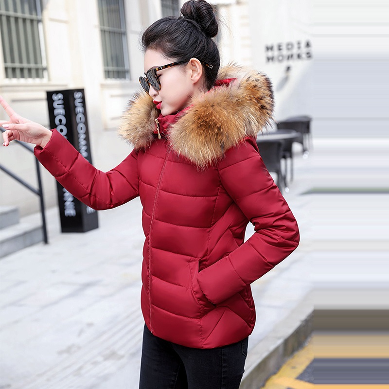 Herfstjas Damesjas met capucho - Winter Clothing Trends 2026 recensie en prijs