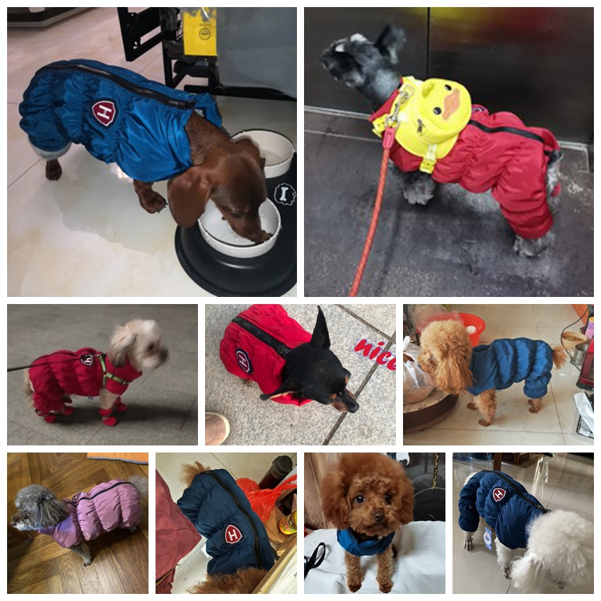 Rits Sneeuw Unisex Hond Waterd - Winter Clothing For Babies recensie en prijs