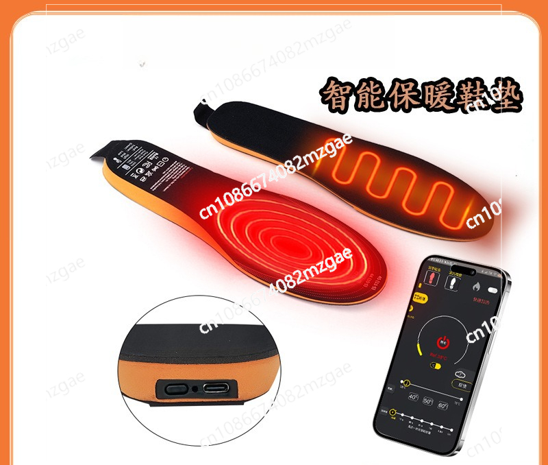 Elektrische verwarming, verwar - Heated Insole Rechargeable recensie en prijs